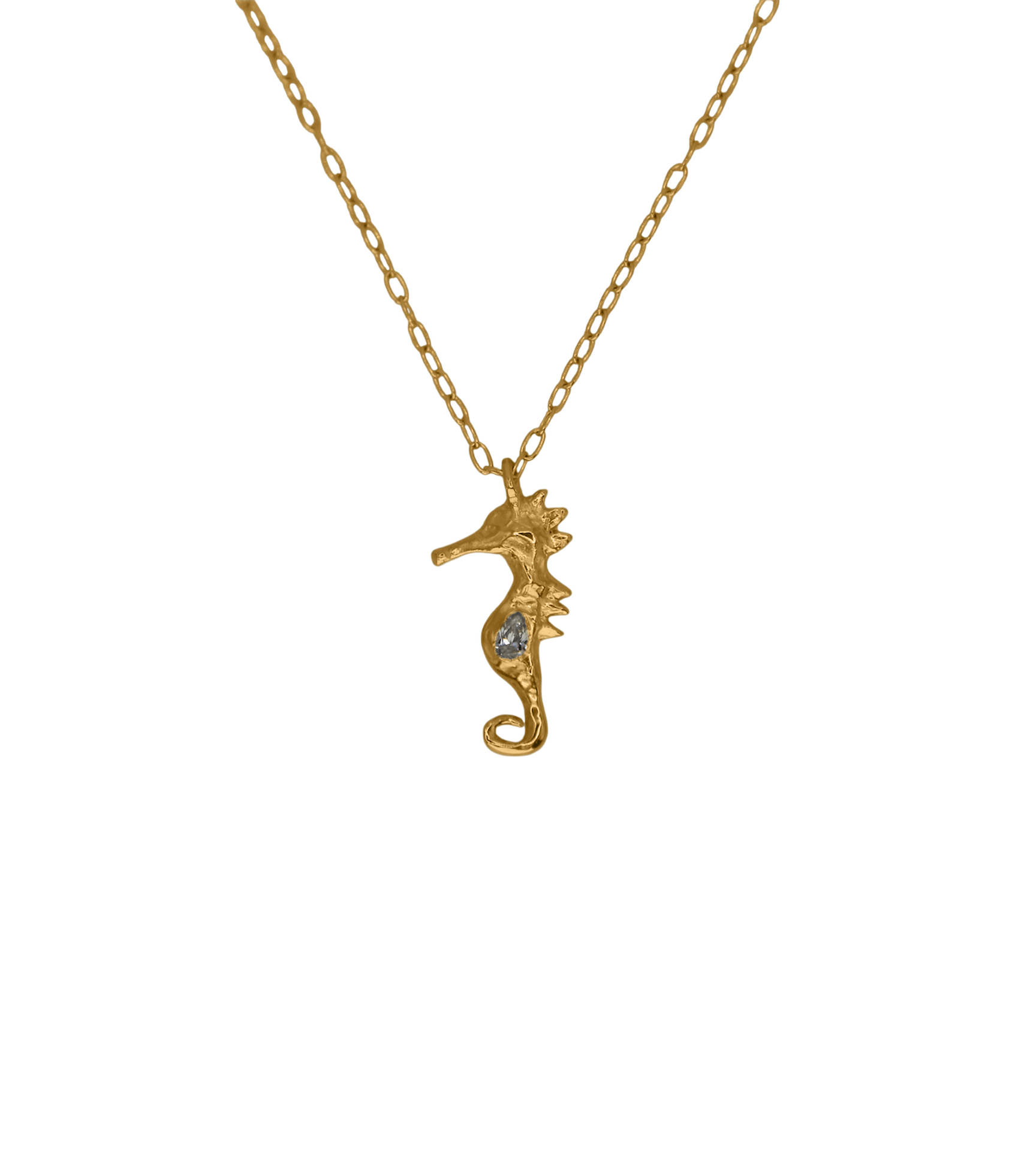 SEAHORSE