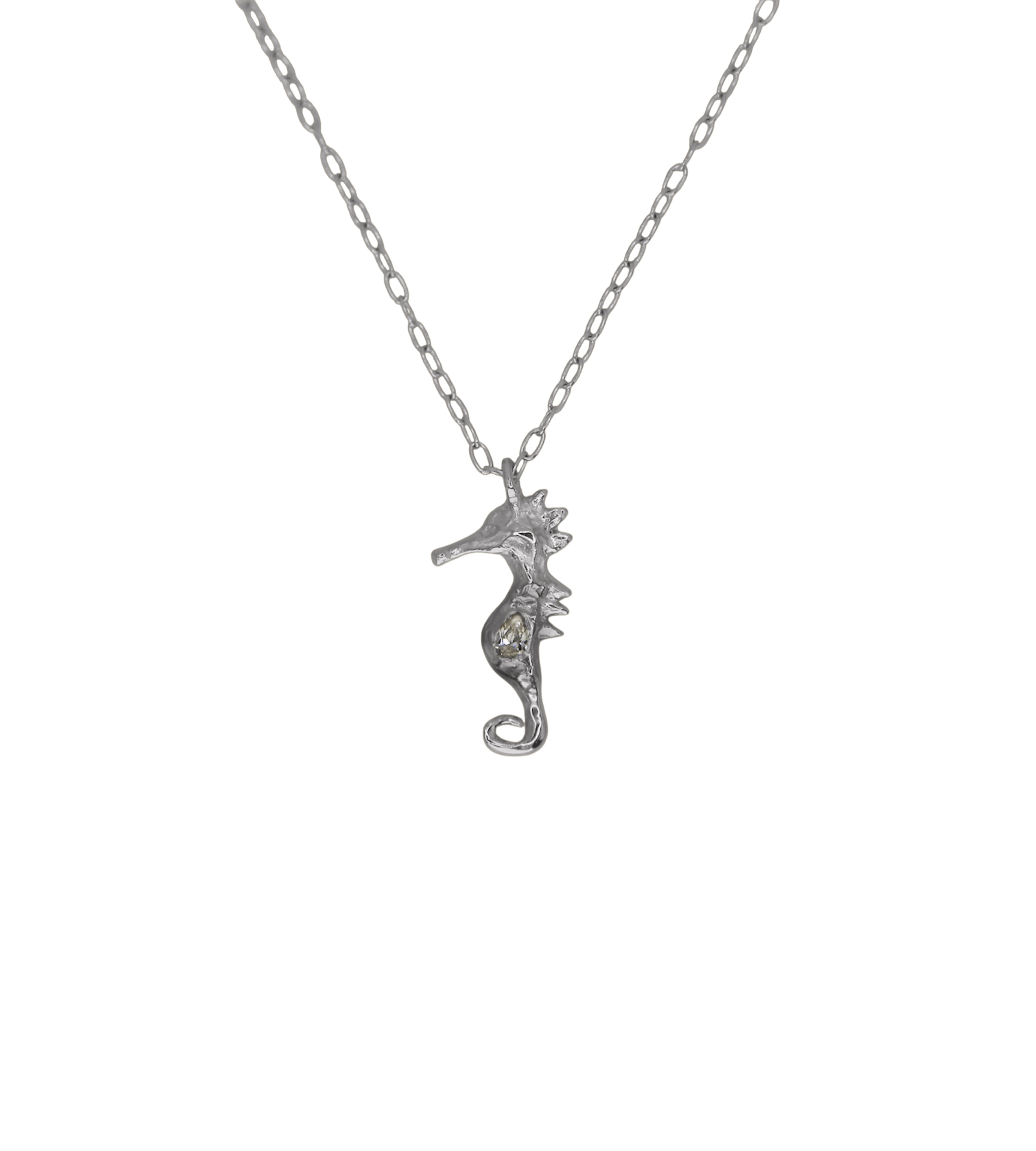 SEAHORSE