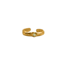 Vermeil Gold